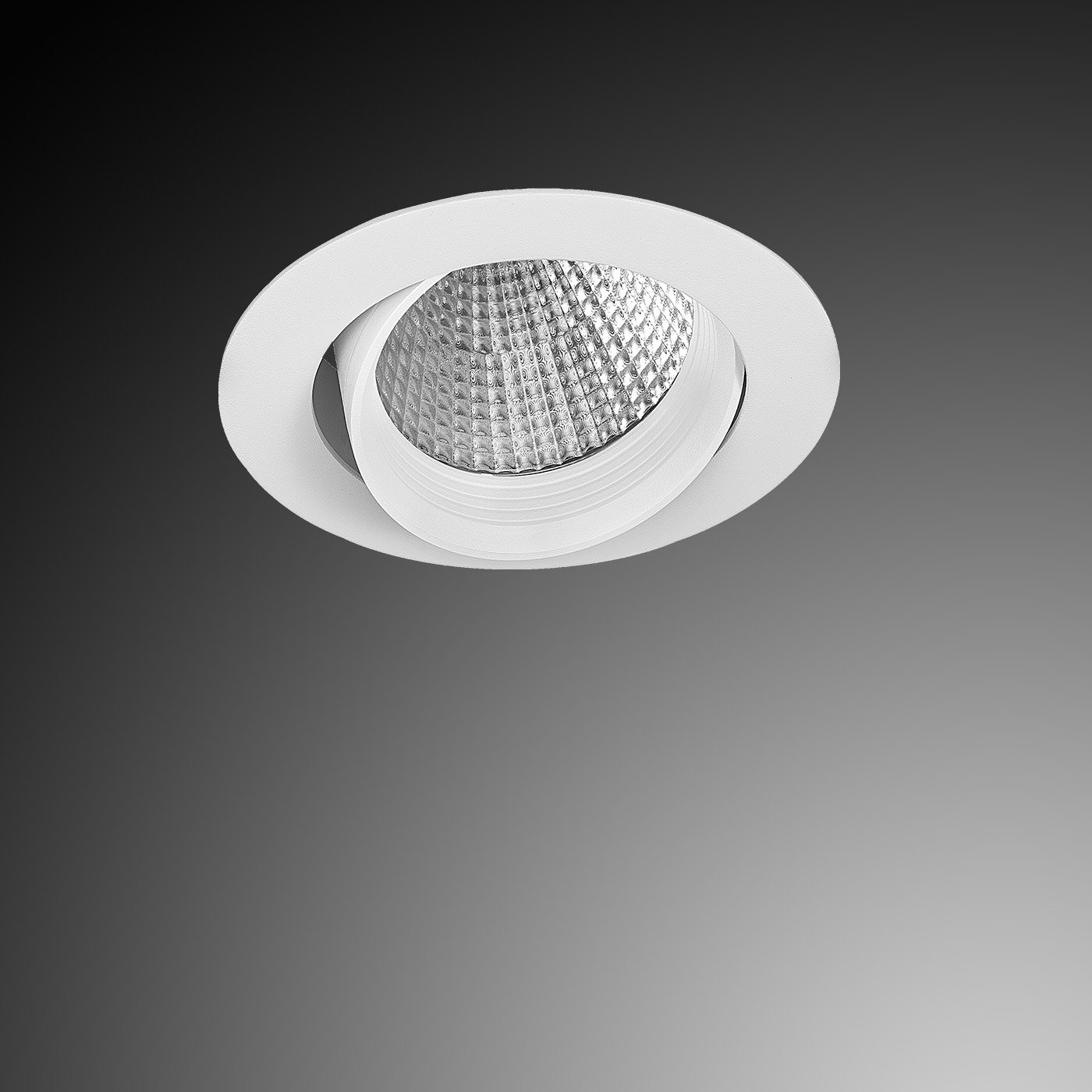 R-FLEX V.3.0_03 R-FLEX V.3.0_03