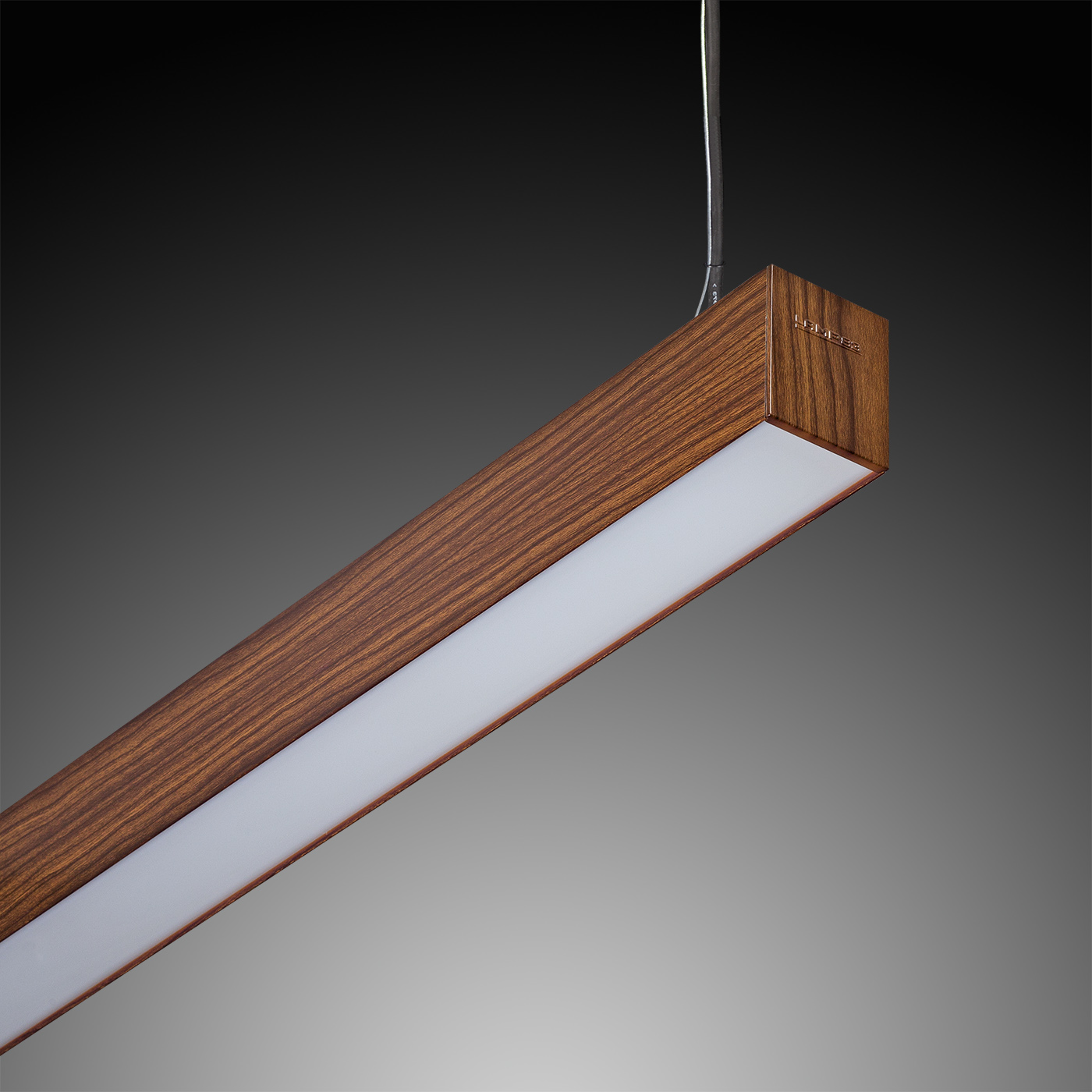 ARK WOOD_ ARK WOOD_